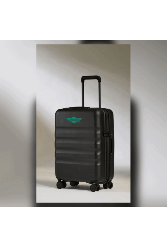 Wingstop Cabin Case
